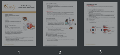 Essential Medical Coding Study Guides Digital Downloads