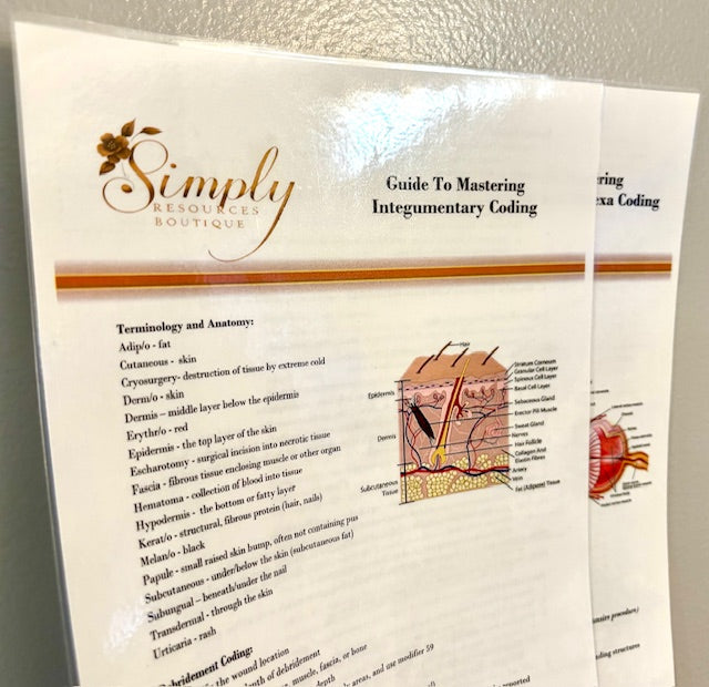 Essential Medical Coding Study Guides Laminated